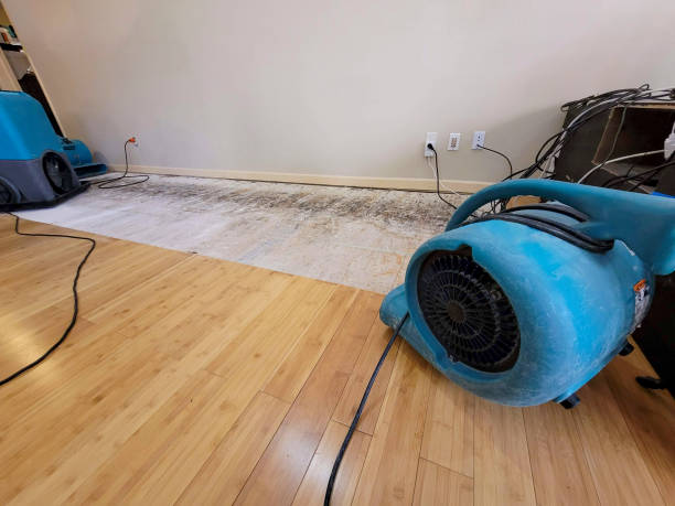 Professional Basement Flood Cleanup technician working in New Haven, WV